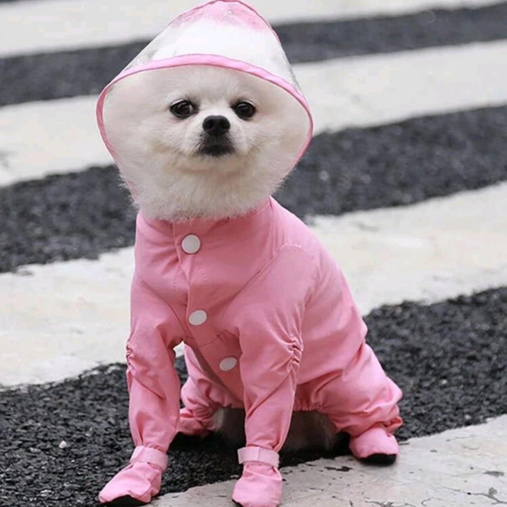 3 for 5$ Shein Dog Red Rain Onesie Medium